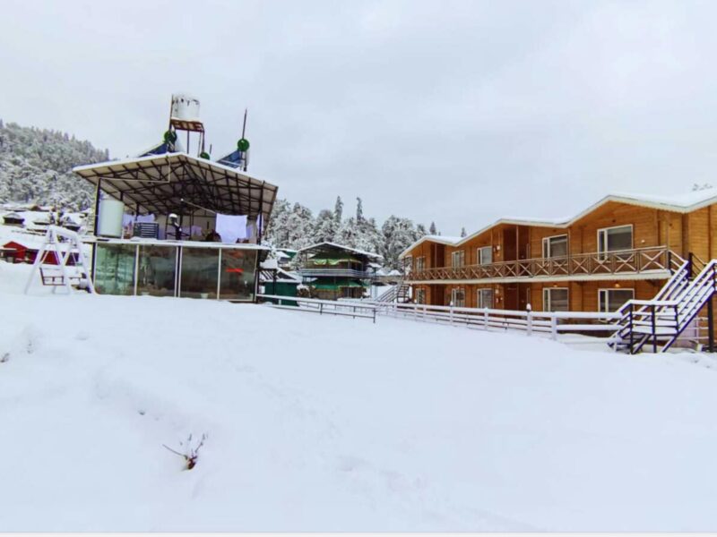 Chopta pine wood stay (luxury double bed room)